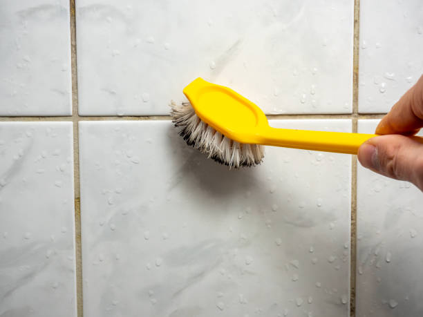 Best Attic Mold Removal  in Bradley, WV